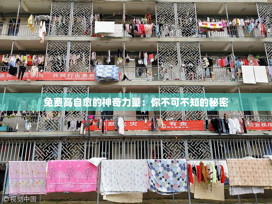 免费高自愈的神奇力量：你不可不知的秘密