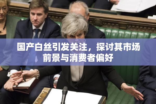 国产白丝引发关注，探讨其市场前景与消费者偏好