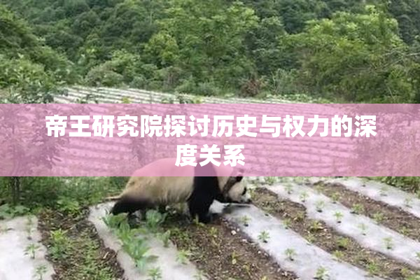 帝王研究院探讨历史与权力的深度关系