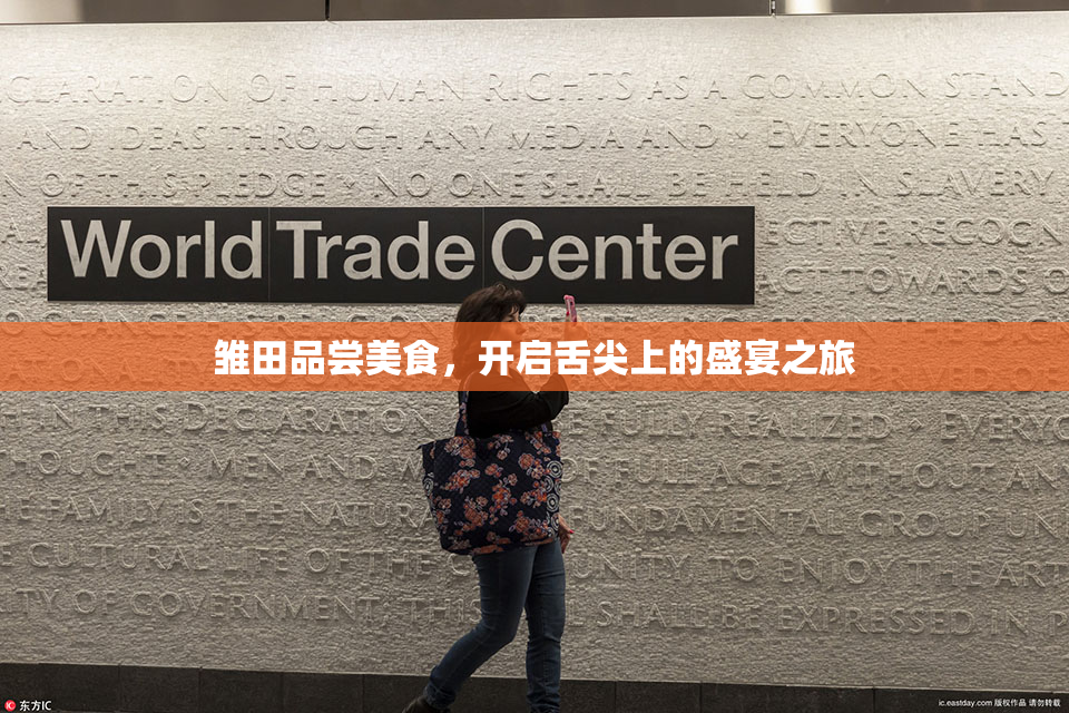 雏田品尝美食，开启舌尖上的盛宴之旅