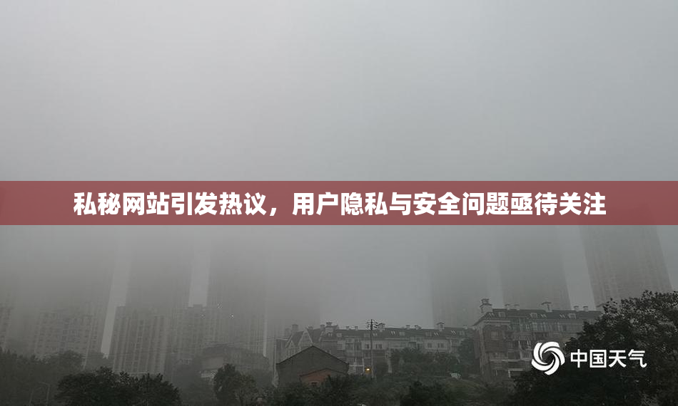 私秘网站引发热议，用户隐私与安全问题亟待关注