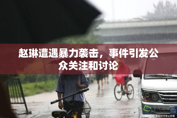 赵琳遭遇暴力袭击，事件引发公众关注和讨论