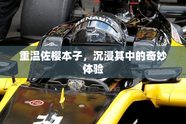 重温佐樱本子，沉浸其中的奇妙体验
