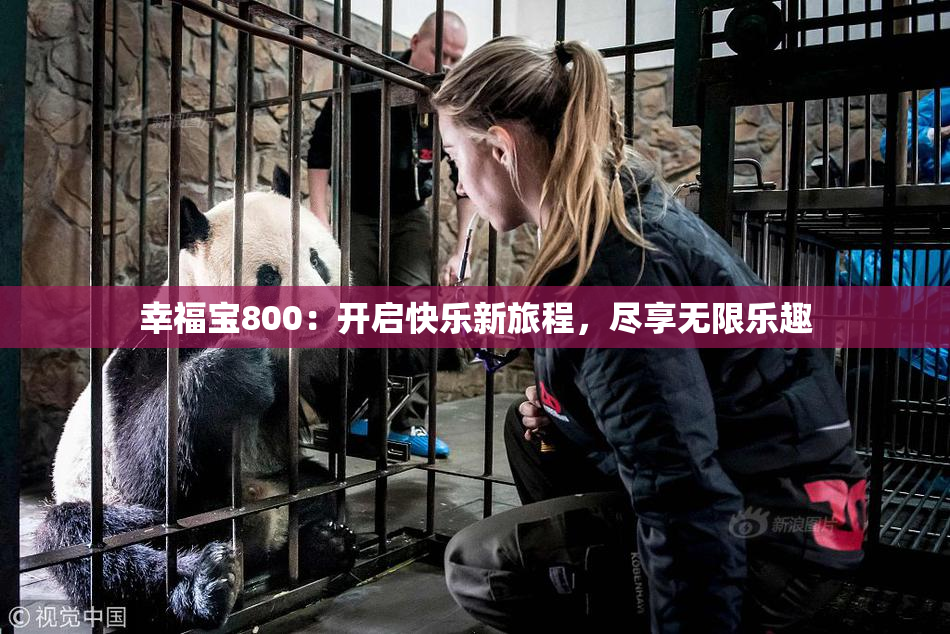 幸福宝800：开启快乐新旅程，尽享无限乐趣