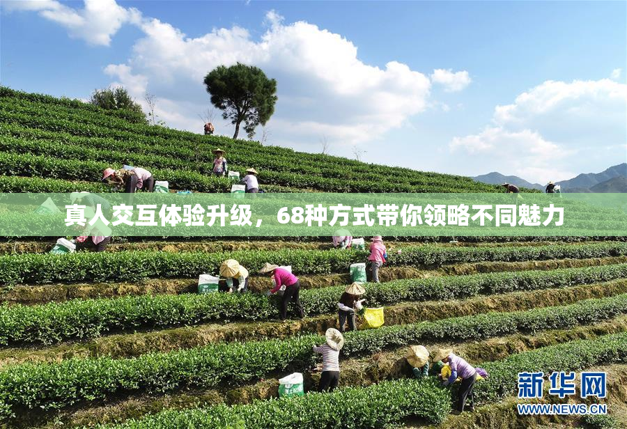真人交互体验升级，68种方式带你领略不同魅力