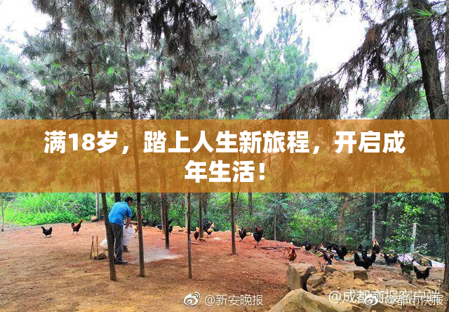 满18岁，踏上人生新旅程，开启成年生活！