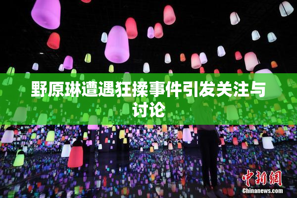 野原琳遭遇狂揉事件引发关注与讨论