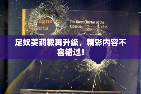 足奴美调教再升级，精彩内容不容错过！
