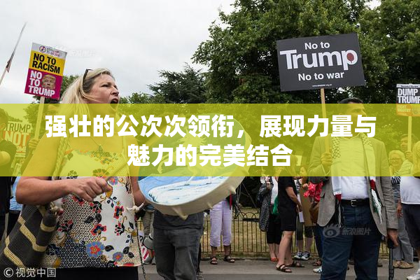 强壮的公次次领衔，展现力量与魅力的完美结合