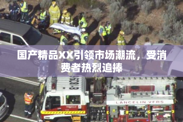 国产精品XX引领市场潮流，受消费者热烈追捧