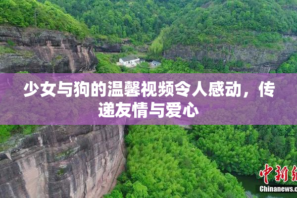 少女与狗的温馨视频令人感动，传递友情与爱心