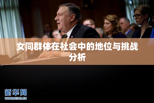 女同群体在社会中的地位与挑战分析