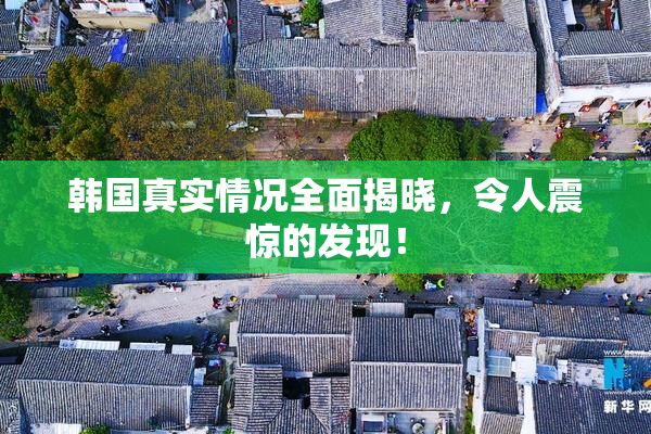 韩国真实情况全面揭晓，令人震惊的发现！