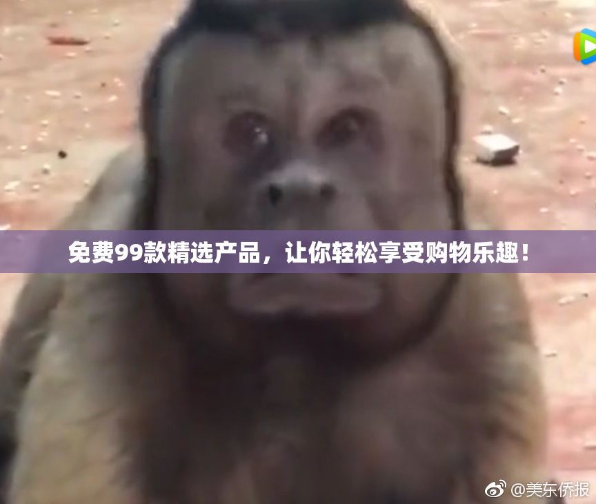 免费99款精选产品，让你轻松享受购物乐趣！