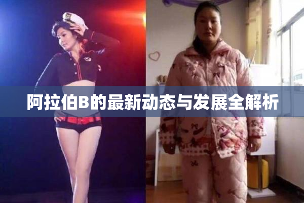阿拉伯B的最新动态与发展全解析