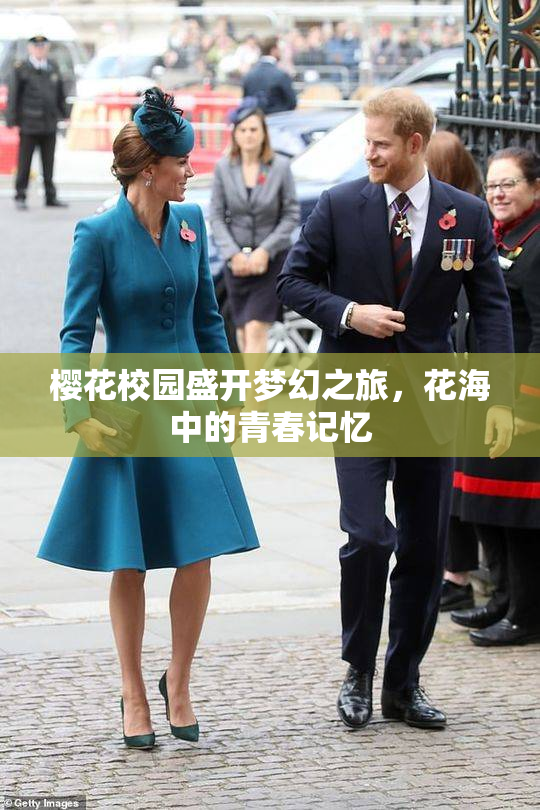 樱花校园盛开梦幻之旅，花海中的青春记忆