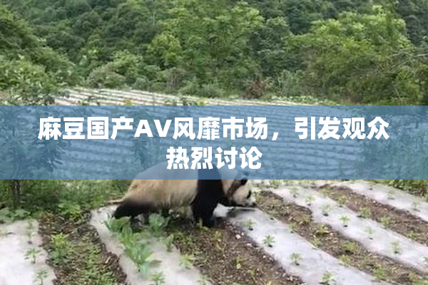 麻豆国产AV风靡市场，引发观众热烈讨论