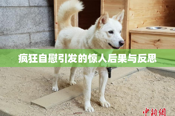 疯狂自慰引发的惊人后果与反思