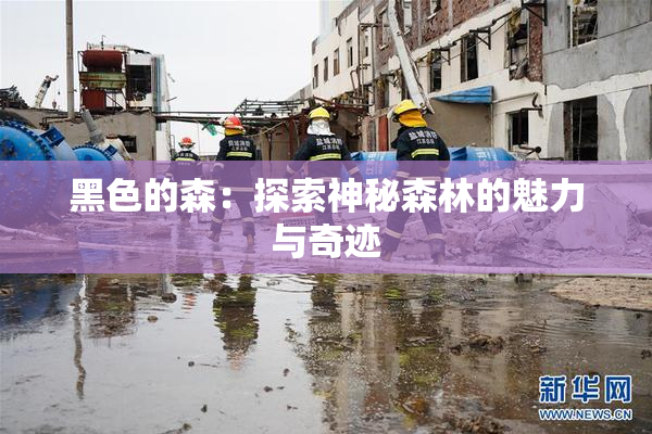 黑色的森：探索神秘森林的魅力与奇迹
