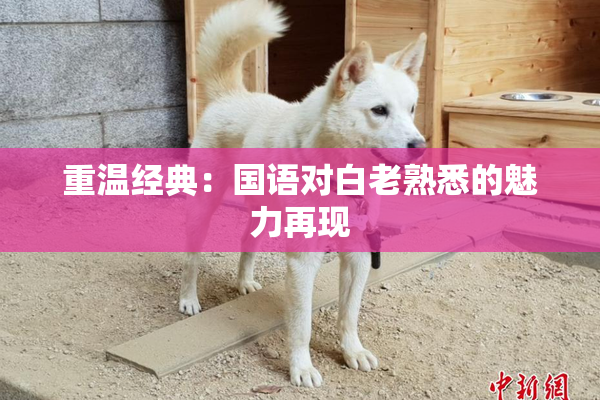 重温经典：国语对白老熟悉的魅力再现