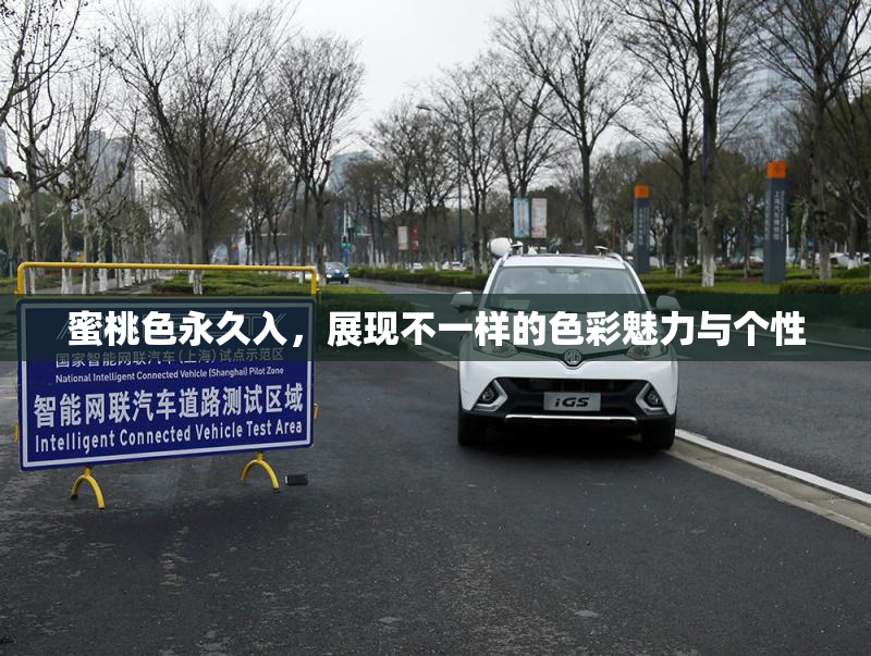 蜜桃色永久入，展现不一样的色彩魅力与个性