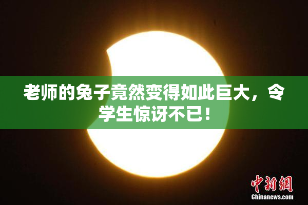 老师的兔子竟然变得如此巨大，令学生惊讶不已！