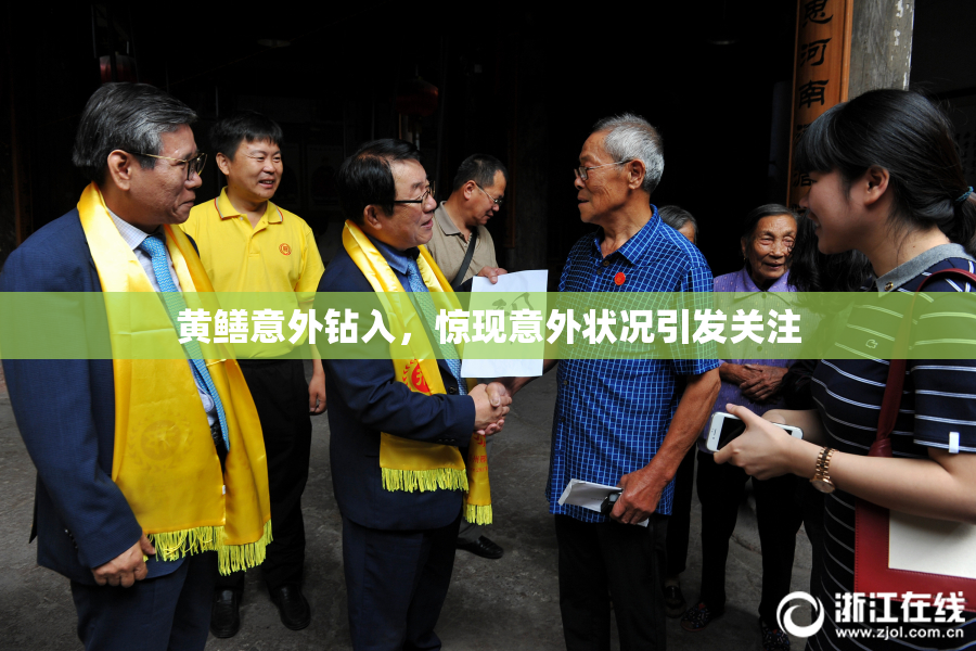 黄鳝意外钻入，惊现意外状况引发关注