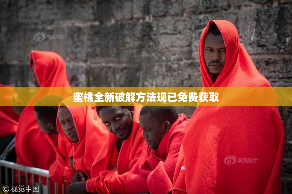蜜桃全新破解方法现已免费获取