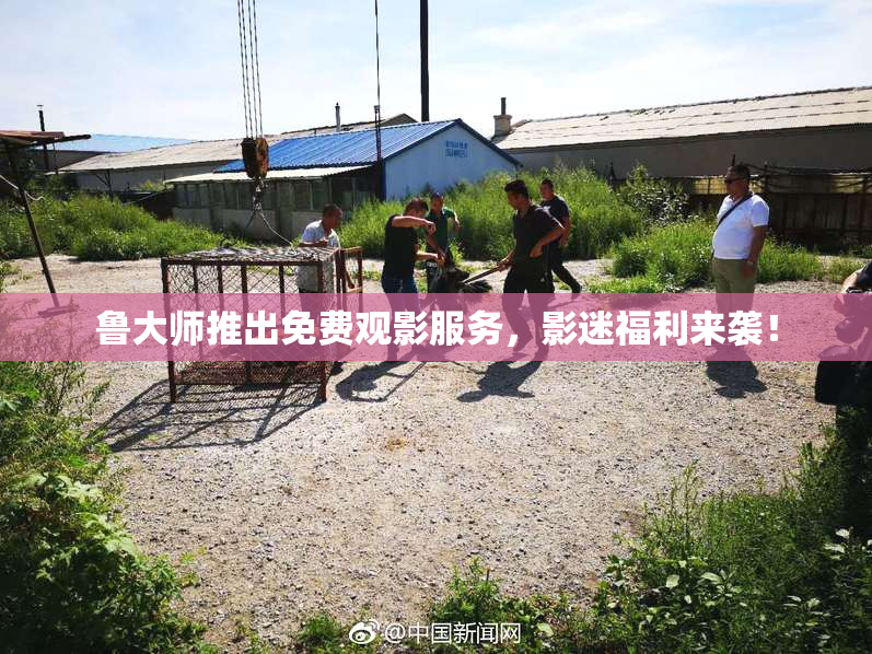 鲁大师推出免费观影服务，影迷福利来袭！
