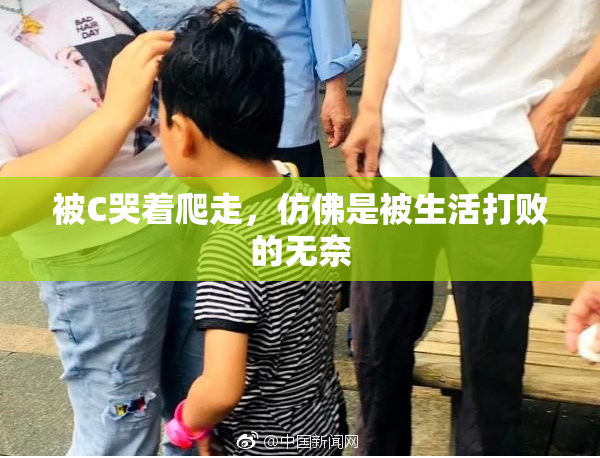 被C哭着爬走，仿佛是被生活打败的无奈