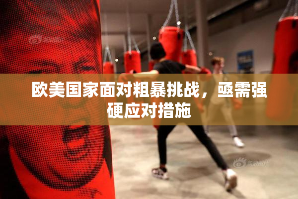 欧美国家面对粗暴挑战，亟需强硬应对措施