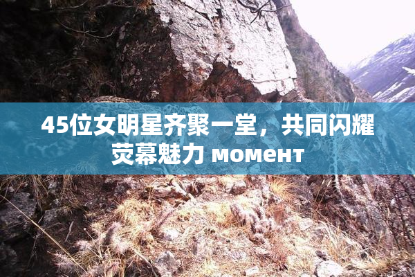 45位女明星齐聚一堂，共同闪耀荧幕魅力 момент