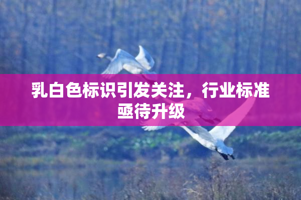 乳白色标识引发关注，行业标准亟待升级