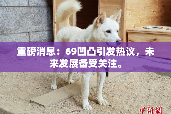 重磅消息：69凹凸引发热议，未来发展备受关注。