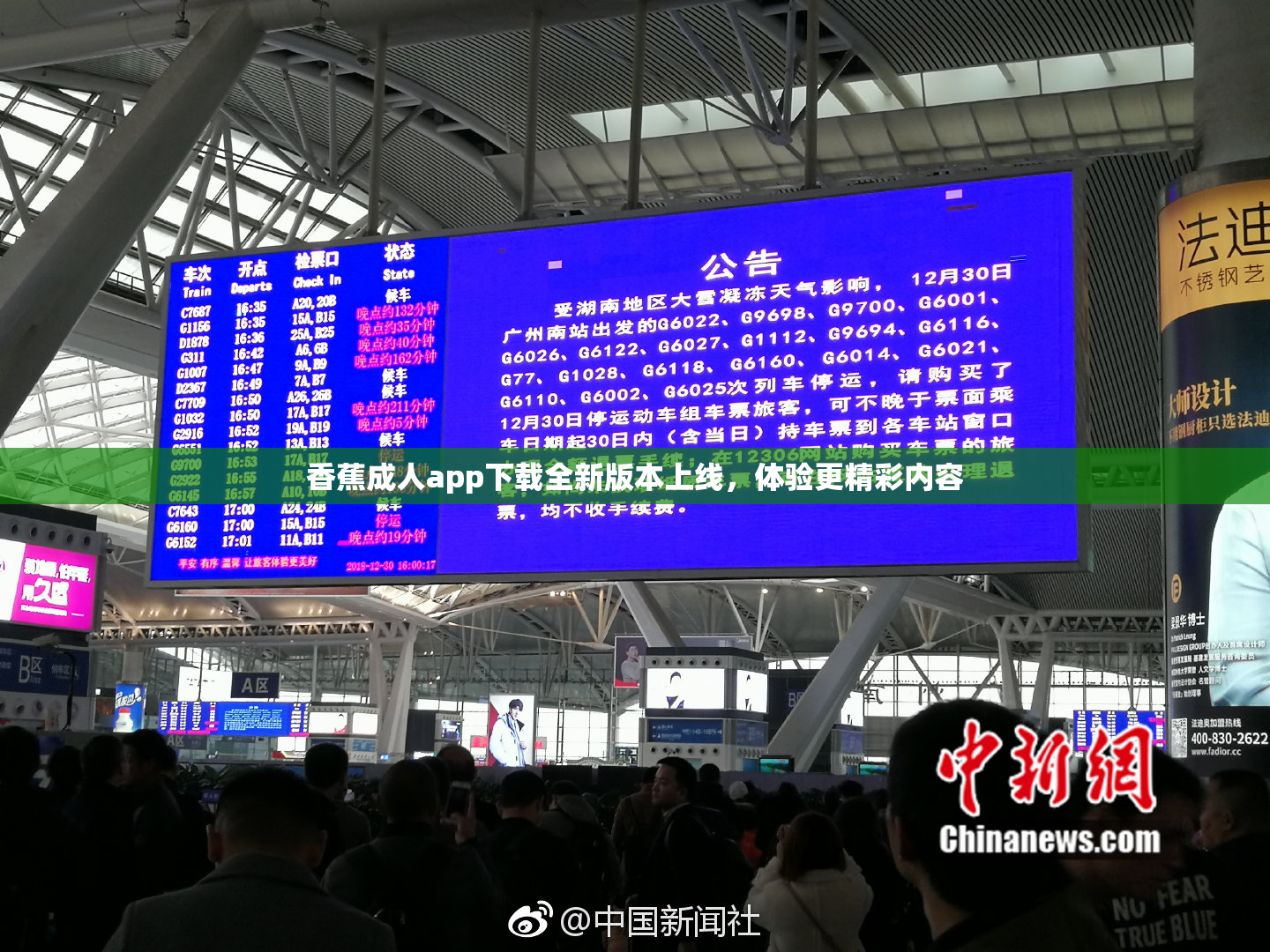 香蕉成人app下载全新版本上线，体验更精彩内容