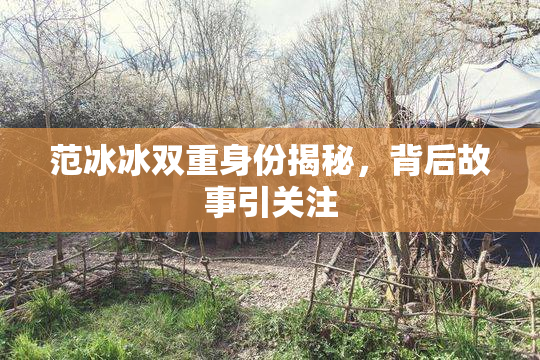 范冰冰双重身份揭秘，背后故事引关注