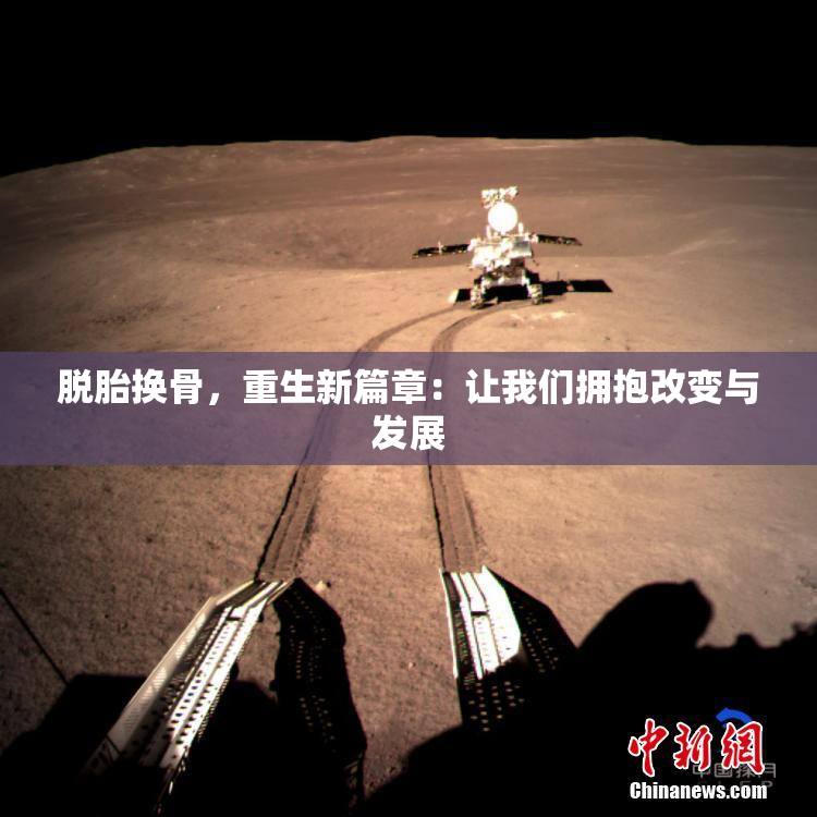 脱胎换骨，重生新篇章：让我们拥抱改变与发展