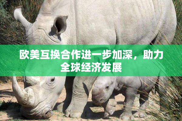 欧美互换合作进一步加深，助力全球经济发展