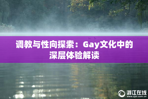 调教与性向探索：Gay文化中的深层体验解读