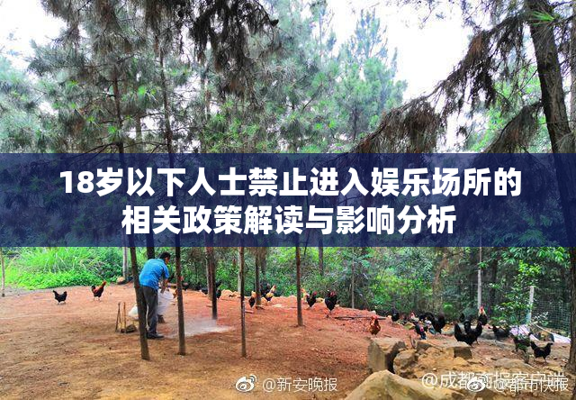 18岁以下人士禁止进入娱乐场所的相关政策解读与影响分析