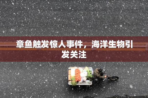 章鱼触发惊人事件，海洋生物引发关注