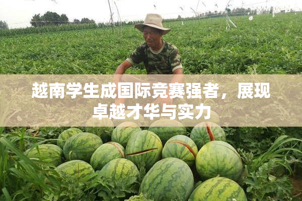 越南学生成国际竞赛强者，展现卓越才华与实力