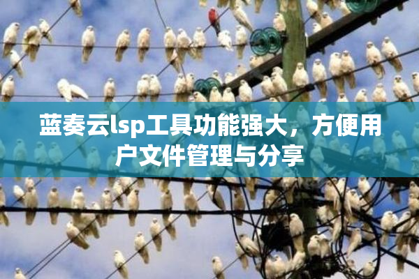 蓝奏云lsp工具功能强大，方便用户文件管理与分享