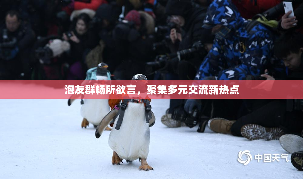 泡友群畅所欲言，聚集多元交流新热点