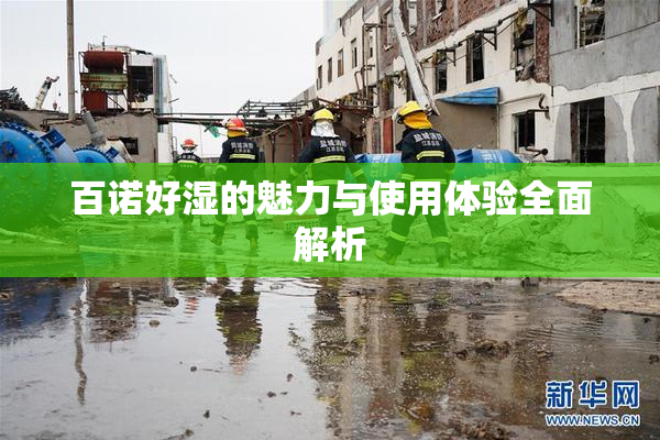 百诺好湿的魅力与使用体验全面解析