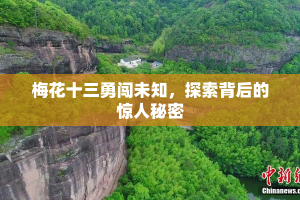 梅花十三勇闯未知，探索背后的惊人秘密