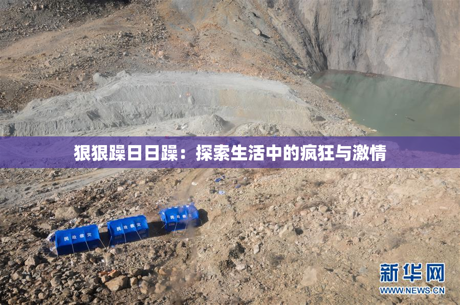 狠狠躁日日躁：探索生活中的疯狂与激情