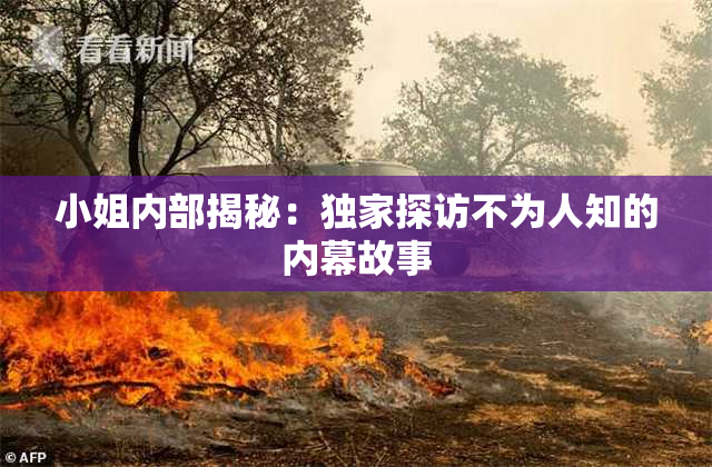 小姐内部揭秘：独家探访不为人知的内幕故事
