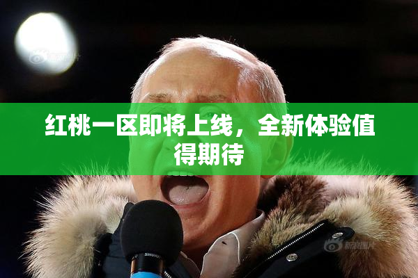 红桃一区即将上线，全新体验值得期待