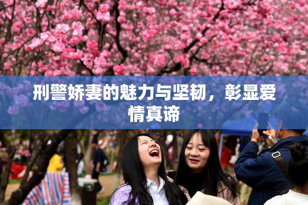 刑警娇妻的魅力与坚韧，彰显爱情真谛
